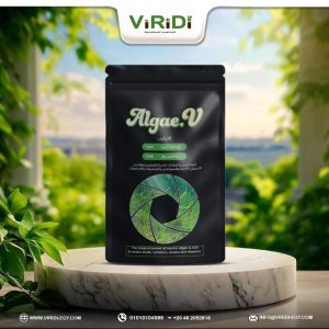 seaweed extract