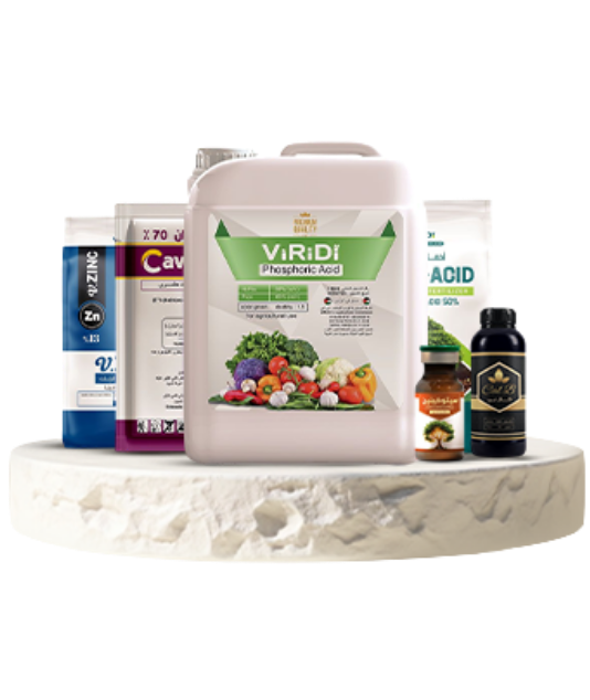 viridi